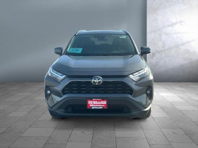2025 Toyota RAV4 HYBRID Hybrid XLE Premium