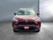 2025 Toyota RAV4 Hybrid Hybrid XLE