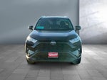 2024 Toyota RAV4 Hybrid Hybrid XLE Premium